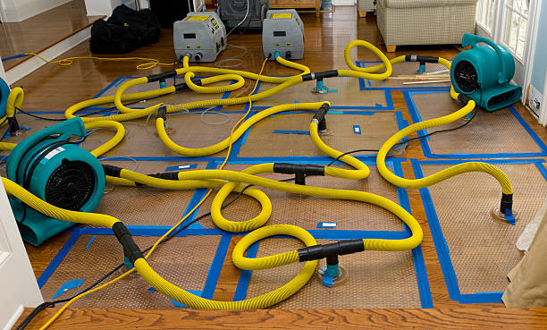 Professional Storm Water Damage Restoration technician working in Ardmore, OK